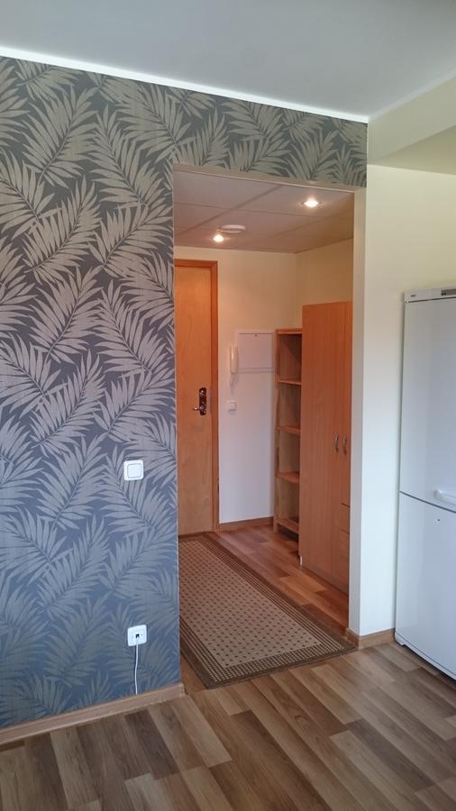 Paernu City Center Apartment Kültér fotó